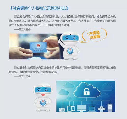 守护个人信息安全，共建数字人社防线——浙江人社网络安全宣传与软件开发实践
